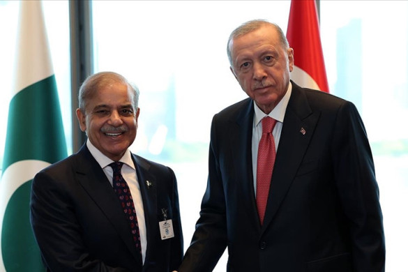 Ərdoğan və Şərif Bakıda regional təhlükəsizlik və əməkdaşlıq məsələlərini müzakirə ediblər