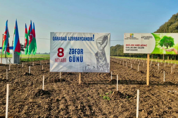 Zəfər Günü ilə əlaqədar meşə fondu torpaqlarında 30 mindən artıq ağac əkilib (FOTO)