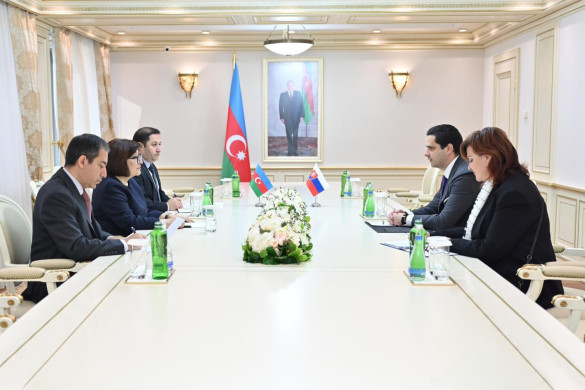 Azərbaycan və Slovakiya arasında strateji tərəfdaşlıq müzakirə olunub