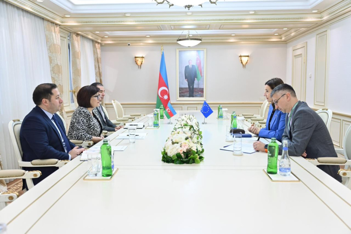 Sahibə Qafarova Avropa Parlamentinin Azərbaycan əleyhinə qətnamələrini qərəzli adlandırıb