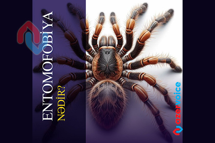 Entomofobiya nədir? – Həşəratlardan qorxunun psixoloji mahiyyəti