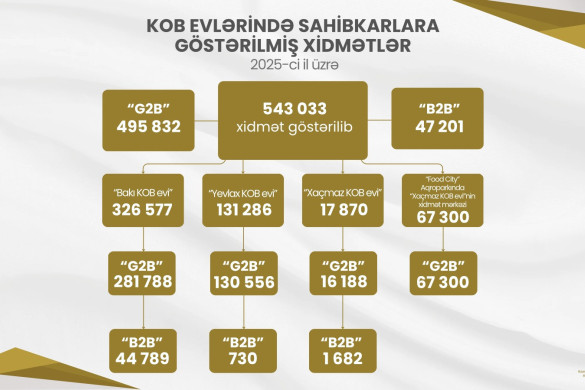 Ötən il KOB evlərində sahibkarlara 543 mindən çox xidmət göstərilib