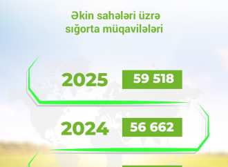 Ölkəmizdə əkin sahələrinə verilən sığorta təminatı 600 milyon manata yaxınlaşıb