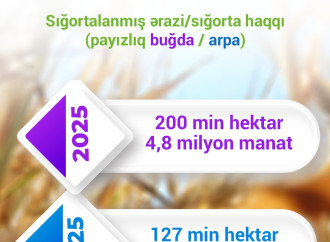 Ölkəmizdə əkin sahələrinə verilən sığorta təminatı 600 milyon manata yaxınlaşıb