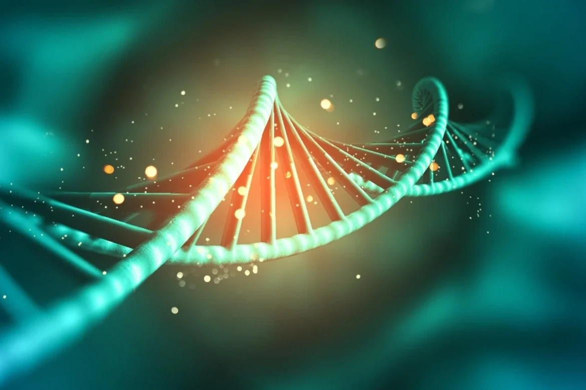 Genetikadan epigenetikaya: Uğurun sirri təkcə kodlarda deyil, həm də nizam-intizamdadır