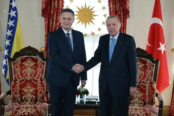 Ərdoğan Denis Beçiroviçi qəbul edib