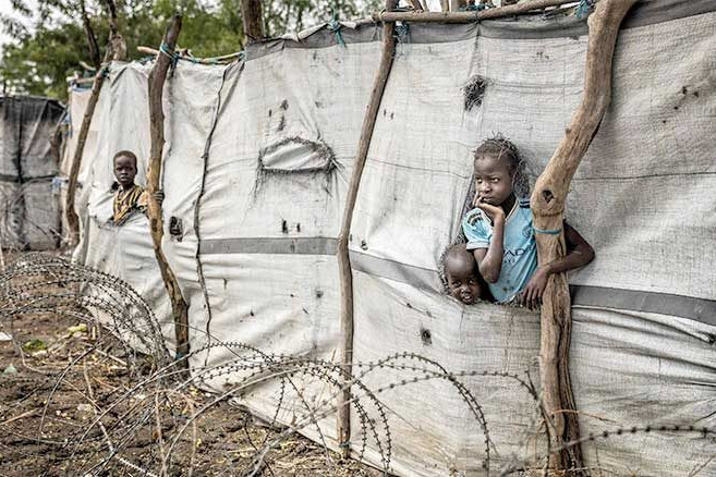 Sudanın Mavi Nil bölgəsində gərginlik - 73 min nəfərdən çox insan didərgin düşüb