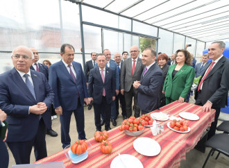 Lənkəranda Təhsil Forumu - Regionlarda peşə təhsili diqqət mərkəzindədir