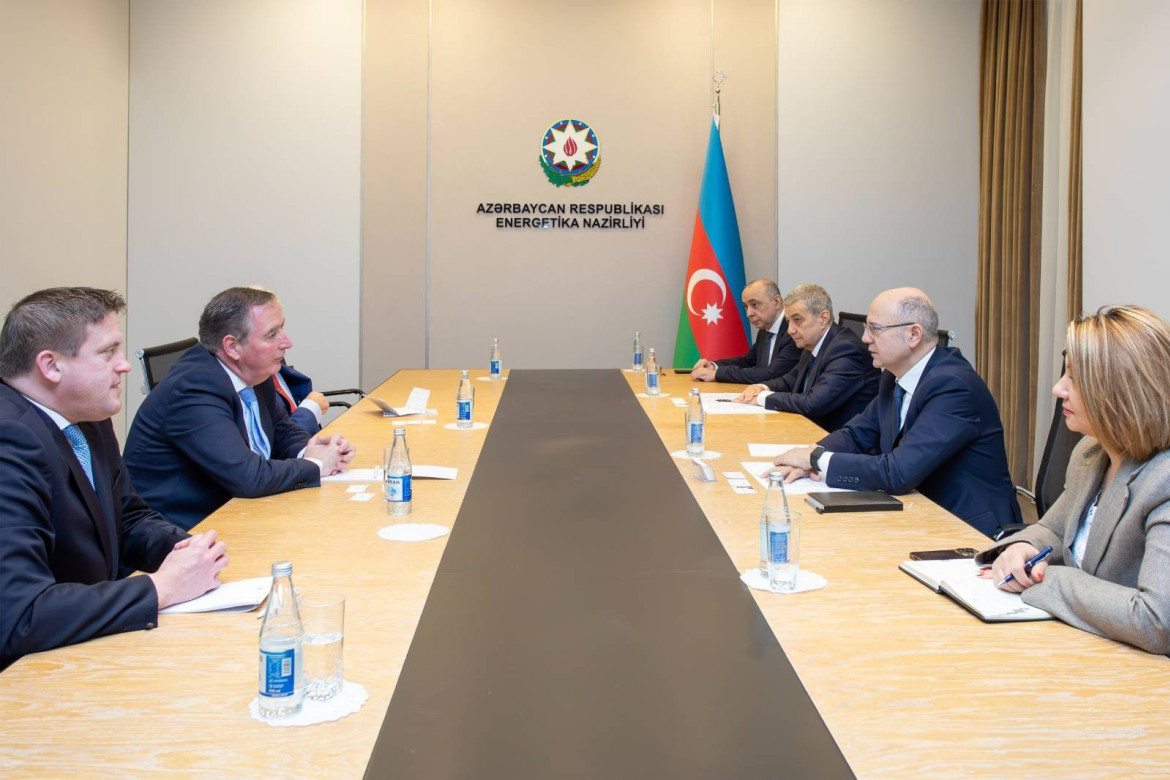 Bakı və Dublin arasında əməkdaşlıq məsələləri müzakirə olunub