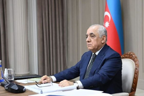 Milli Yaşıl Taksonomiya təsdiqlənib