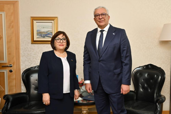 Milli Məclisin sədri Sahibə Qafarova Monteneqro parlamentinin sədri ilə görüşüb