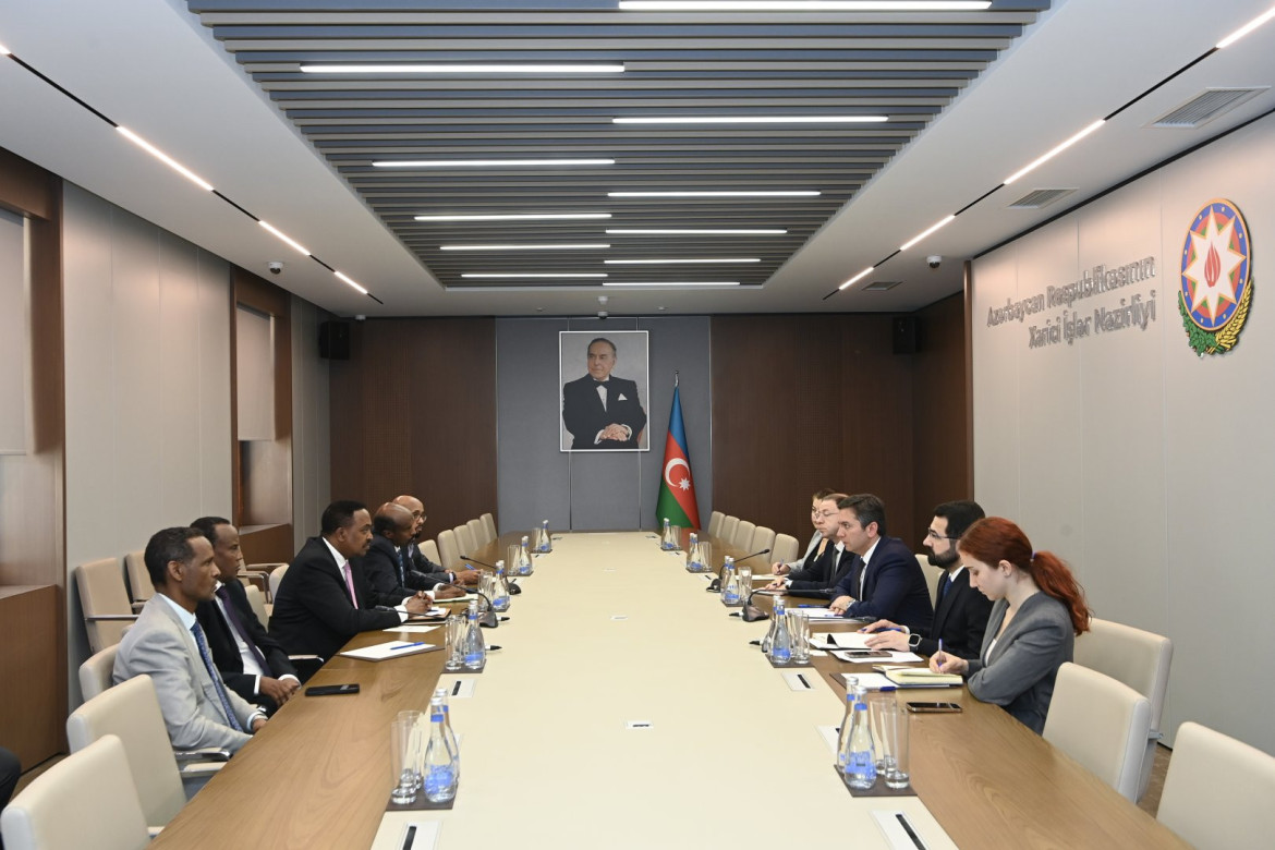 Yalçın Rəfiyev IGAD-ın icraçı direktoru ilə görüşüb