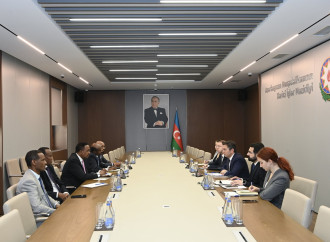Yalçın Rəfiyev IGAD-ın icraçı direktoru ilə görüşüb