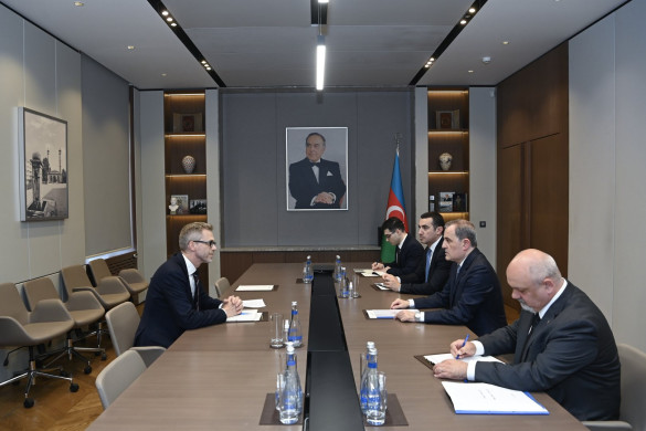 Azərbaycan və İsveç arasında əməkdaşlıq məsələləri müzakirə olunub