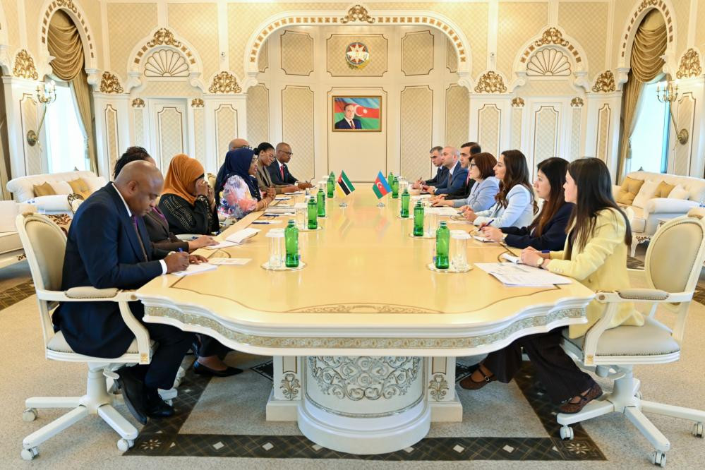 Sahibə Qafarova Mozambik Respublika Assambleyasının sədri ilə görüşüb