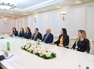 Sahibə Qafarova Ziya Öztürkler ilə görüşüb