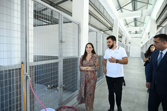 Leyla Əliyeva Yevlaxda Sahibsiz Heyvanlara Qayğı Mərkəzinin regional bölməsinin açılışında iştirak edib