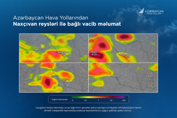 Azərbaycan Hava Yollarından Naxçıvan reysləri ilə bağlı vacib məlumat