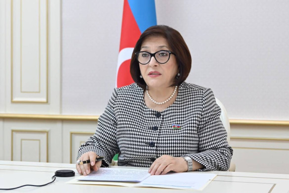 Sahibə Qafarova "Silahlı münaqişələr zamanı ətraf mühitin mühafizəsi" mövzusunda çıxış edib