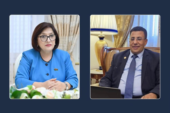 Sahibə Qafarova ilə Pan-Afrika Parlamentinin prezidenti arasında videokonfrans formatında görüş keçirilib
