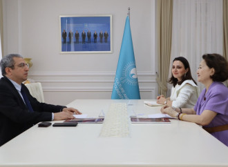 Şövqi Mehdizadə Türk Mədəniyyəti və İrsi Fondunun rəhbərliyi ilə görüşüb