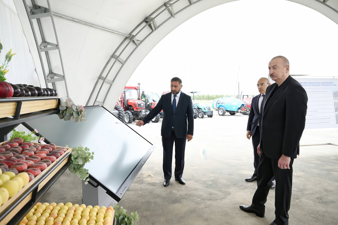 Azərbaycanda ilk dəfə UCB-1 calaqaltısı üzərində kütləvi püstə tingi istehsalına nail olunub