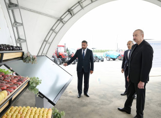 Azərbaycanda ilk dəfə UCB-1 calaqaltısı üzərində kütləvi püstə tingi istehsalına nail olunub