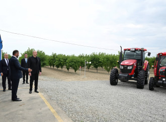 Azərbaycanda ilk dəfə UCB-1 calaqaltısı üzərində kütləvi püstə tingi istehsalına nail olunub