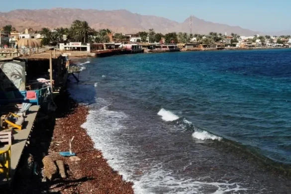 بيان وزارة الصحة المصرية بشأن حادث حافلة جنوب سيناء واستنفار 20 سيارة إسعاف