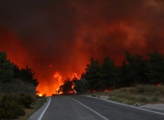 İzmirdəki meşə yanğınının səbəbi məlum olub
