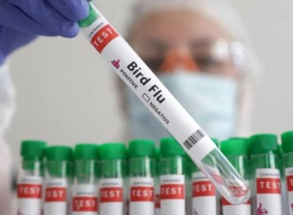 COVİD sonrası epidemiya riski - ölümcül qrip hadisəsi qeydə alınıb