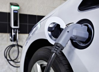 Özbəkistan idxal etdiyi elektromobil sayını açıqlayıb