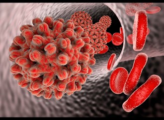Hepatit A virusuna tək-tək yoluxma halları qeydə alınıb