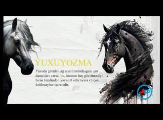Yuxuda at görmək necə yozulur?