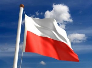 Polşada NATO-nun irimiqyaslı təlimləri elan edilib
