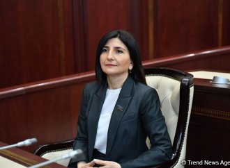ABŞ də Bakıda həbsdə olan separatçıların cinayətkar olduğunu çox gözəl anlayır - Sevil Mikayılova