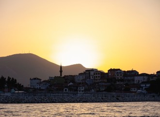 Məhsul Mövsümündə Türkiyənin Çiçək bağı