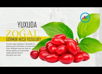 Yuxuda zoğal görmək necə yozulur?
