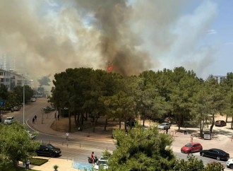 Antalyada meşə yanğını baş verib