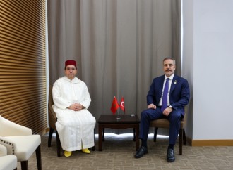 Hakan Fidanın Qambiyada diplomatik görüşləri davam edir