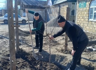 Dini icmalar tərəfindən “Yaşıl dünya naminə həmrəylik ili” çərçivəsində kompaniya keçirilib