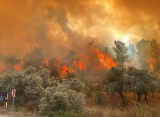 Türkiyədə meşə yanğınına görə bir kənd boşaldılıb