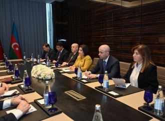 Sahibə Qafarova Türkiyə Böyük Millət Məclisinin sədri ilə görüşüb