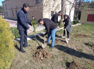 DQİDK Şabranda kompaniya keçirib