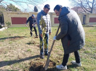 DQİDK Şabranda kompaniya keçirib
