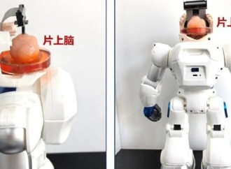 İflic xəstələri üçün insan beyni ilə idarə oluna bilən robot hazırlanıb
