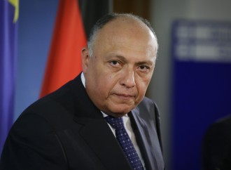 Fələstinin tanınması üçün Ərəb dünyasında fəaliyyət artıb - Şükri