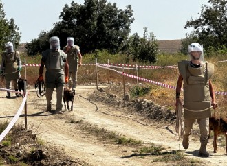 Horadiz kəndinin 80 faizi minalardan təmizlənib