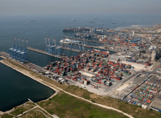 Türkiyə limanları ilə daşınan kənd təsərrüfatı mallarının həcmi açıqlanıb
