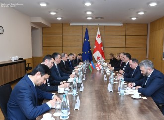 Ceyhun Bayramov gürcüstanlı həmkarı ilə görüşüb